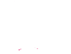 American Samoa map outline in pink