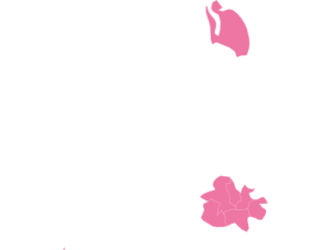 Antigua & Barbuda map outline in pink