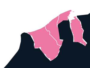 Brunei map outline in pink