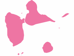 Import to Guadeloupe