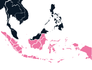 Indonesia Map Outline in Pink