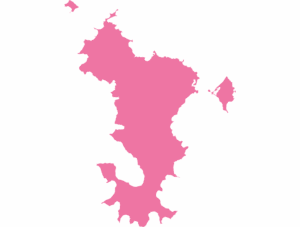 Mayotte map outline in pink