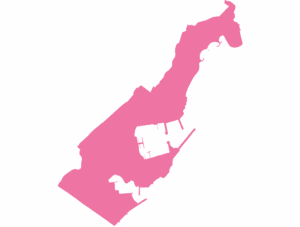 Monaco map outline in pink