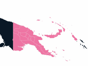 import to papua new guinea