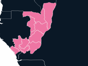 The Republic of Congo map outline in pink