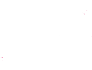 Import to Seychelles