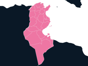 Tunisia Map Outline in Pink