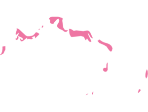 Turks and Caicos map outline in pink