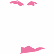 import to the us virgin islands