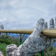 Driving Growth Through Global Trade Compliance