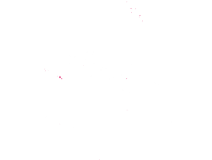 French Polynesia map outline in pink