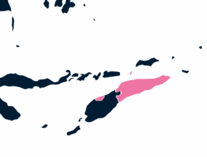 Timor-Leste map outline in pink